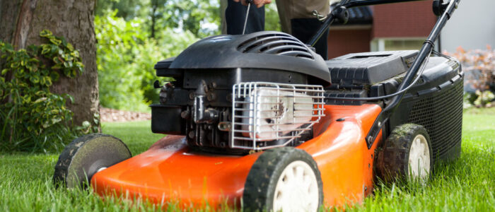 Garden Maintenance